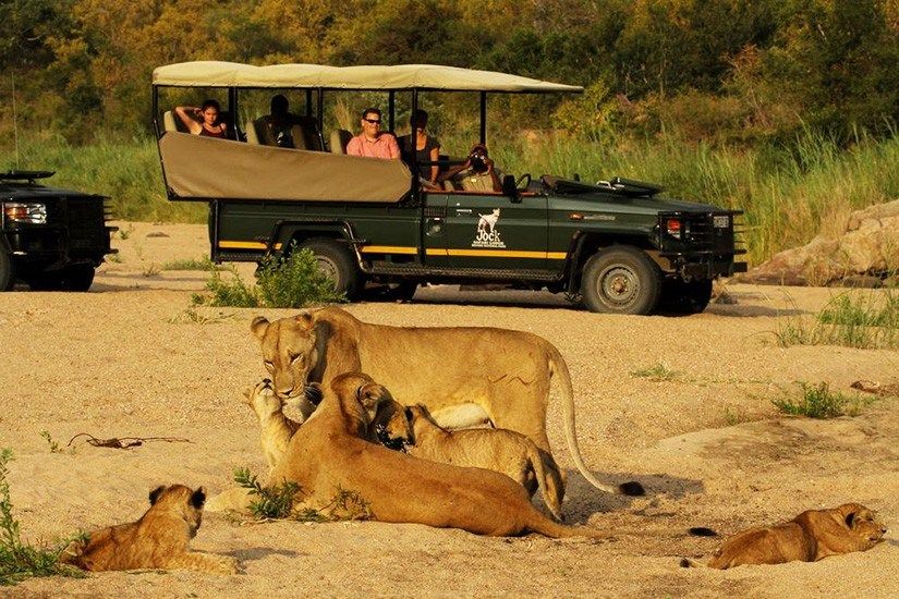 Kruger National Park