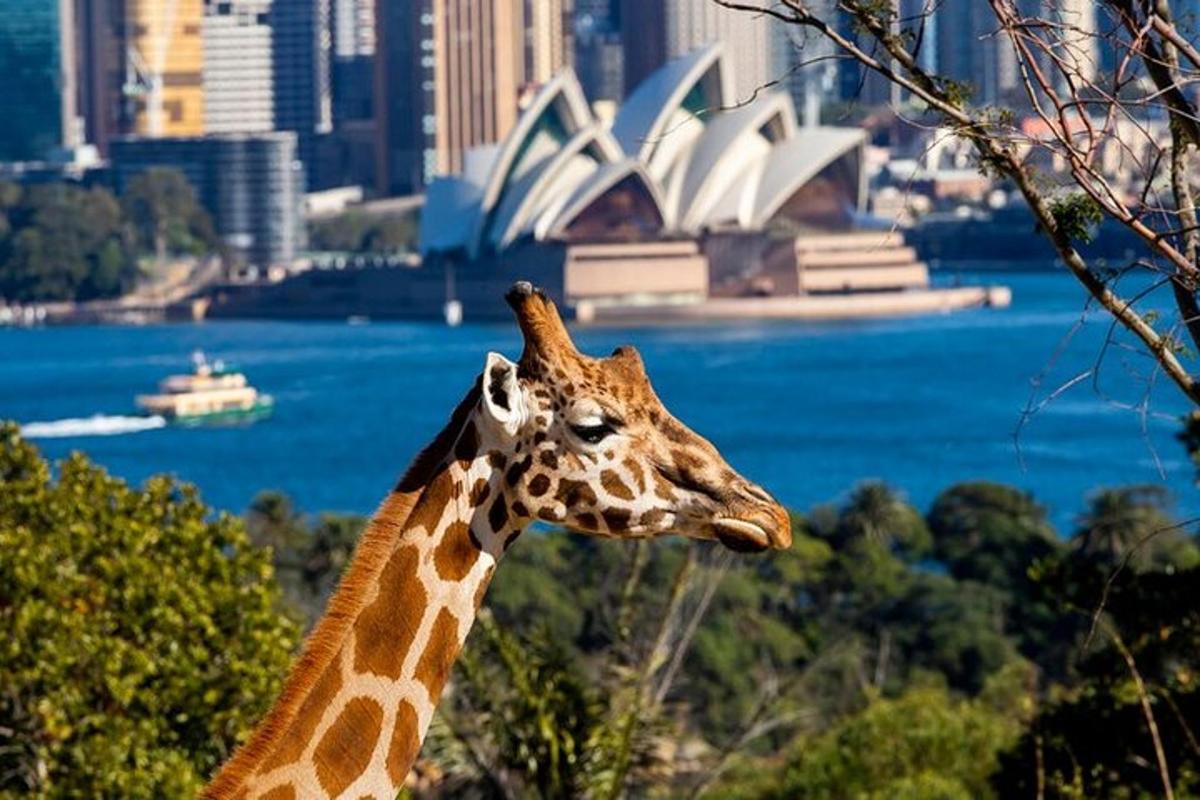 Taronga Zoo